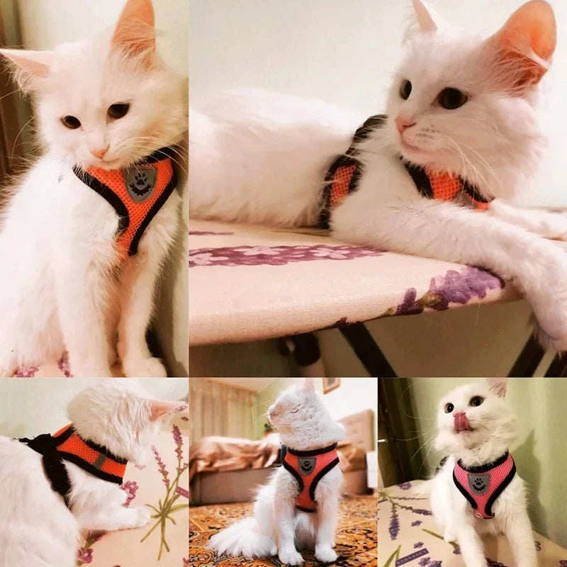 Comfortable Mesh Harness: Adjustable Vest for Cats, Dogs & Walks