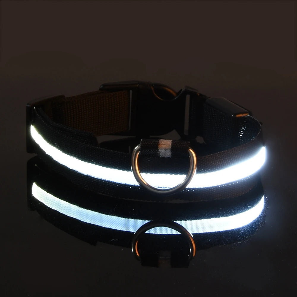 Glow Dog Leash with LED: Bright, Safe Evening Walks