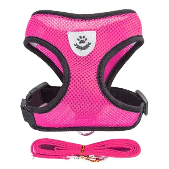 Comfortable Mesh Harness: Adjustable Vest for Cats, Dogs & Walks