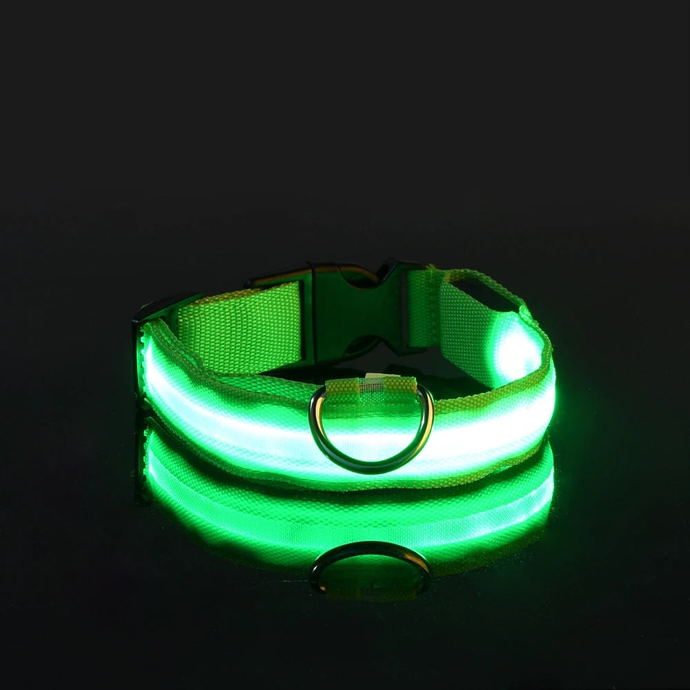 Glow Dog Leash with LED: Bright, Safe Evening Walks