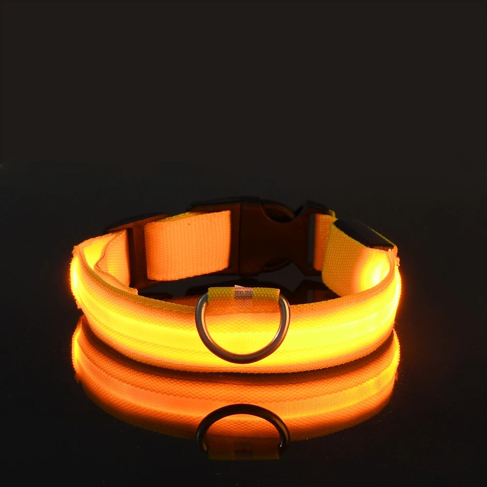 Glow Dog Leash with LED: Bright, Safe Evening Walks