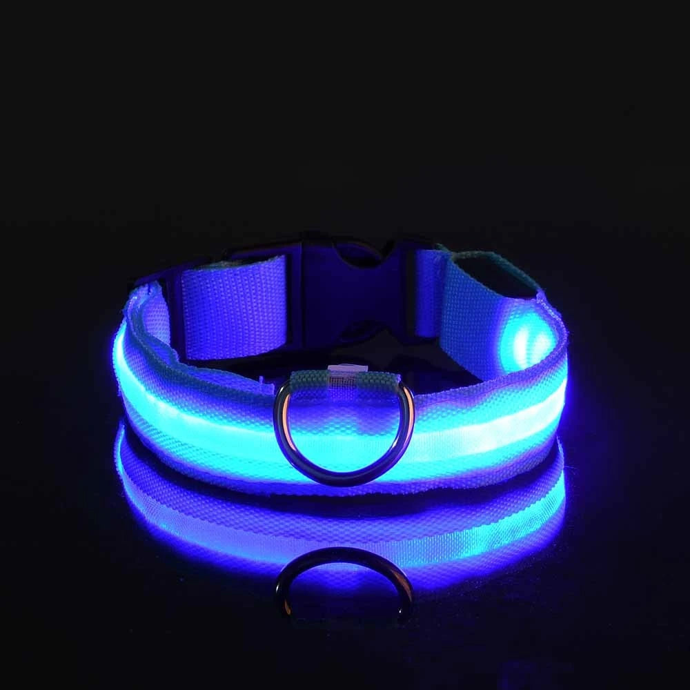 Glow Dog Leash with LED: Bright, Safe Evening Walks
