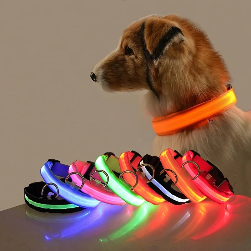 Glow Dog Leash with LED: Bright, Safe Evening Walks