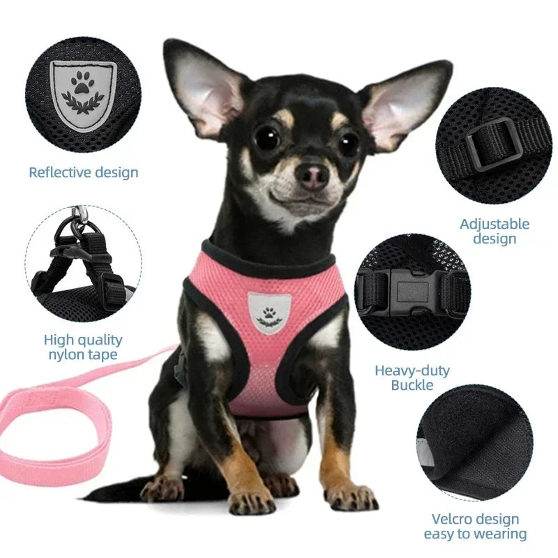 Comfortable Mesh Harness: Adjustable Vest for Cats, Dogs & Walks