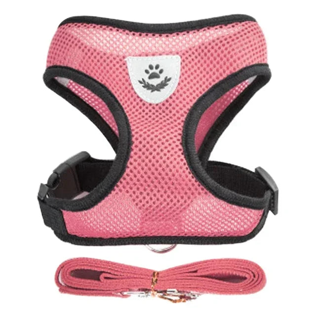 Comfortable Mesh Harness: Adjustable Vest for Cats, Dogs & Walks
