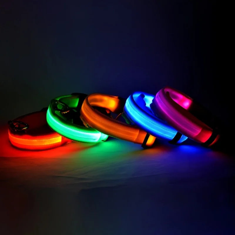 Glow Dog Leash with LED: Bright, Safe Evening Walks