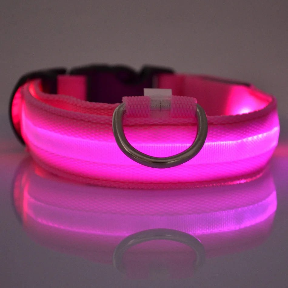 Glow Dog Leash with LED: Bright, Safe Evening Walks