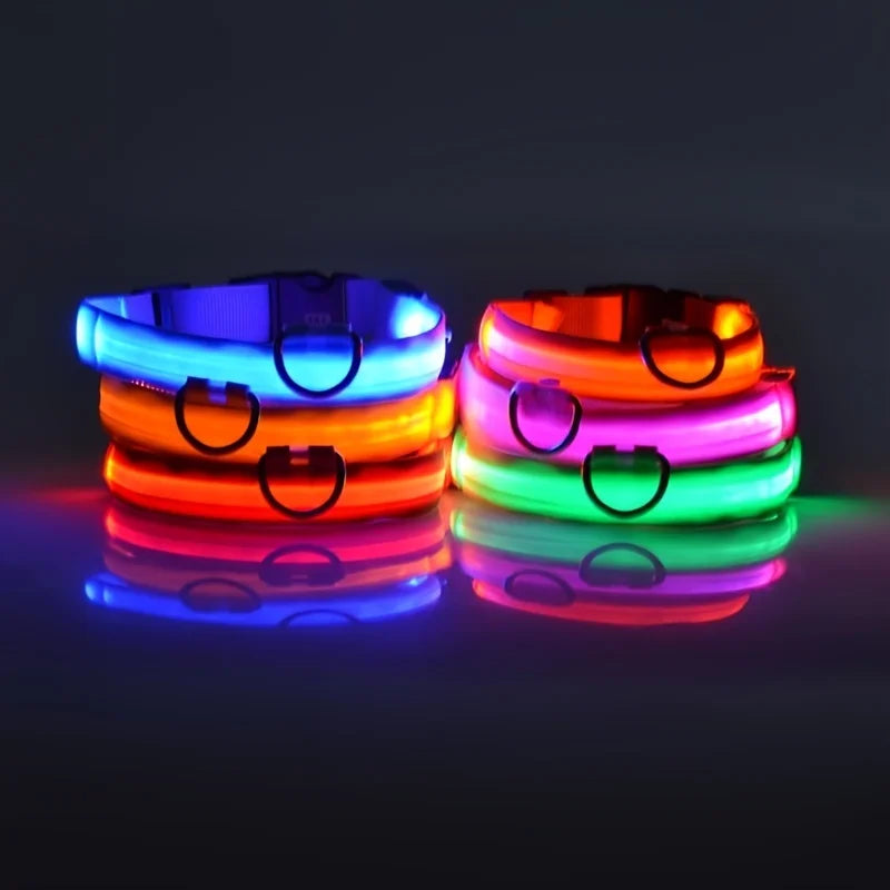 Glow Dog Leash with LED: Bright, Safe Evening Walks