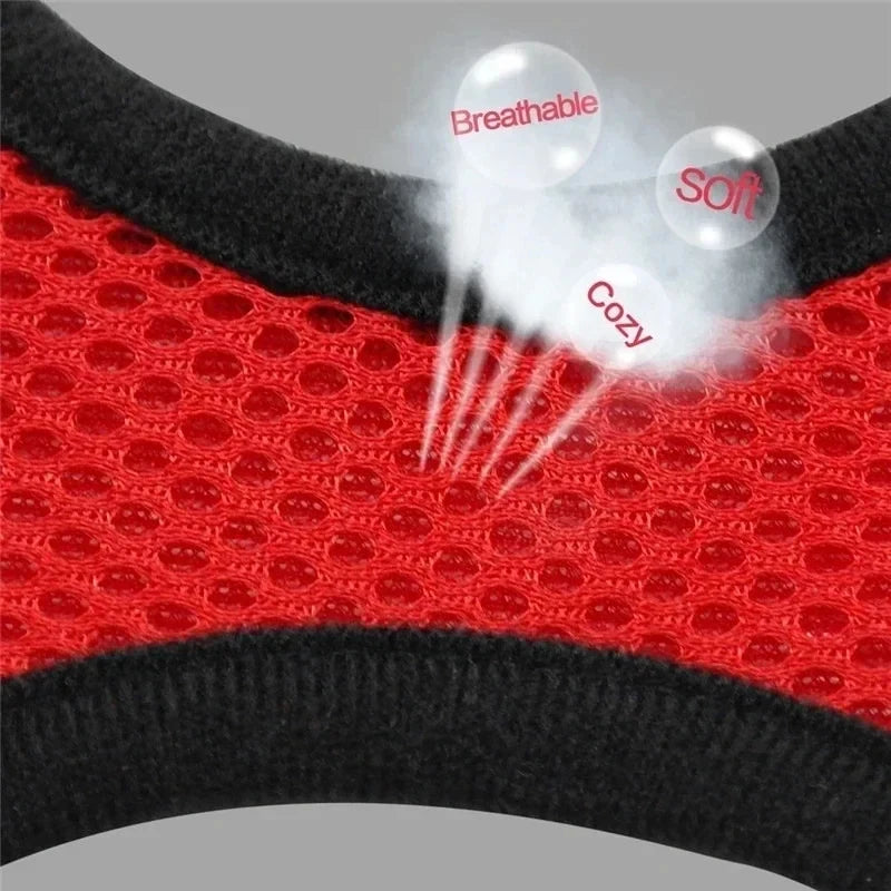 Comfortable Mesh Harness: Adjustable Vest for Cats, Dogs & Walks