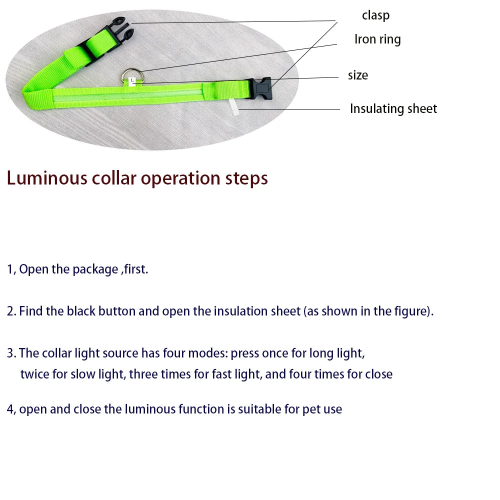 Glow Dog Leash with LED: Bright, Safe Evening Walks
