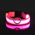 Glow Dog Leash with LED: Bright, Safe Evening Walks