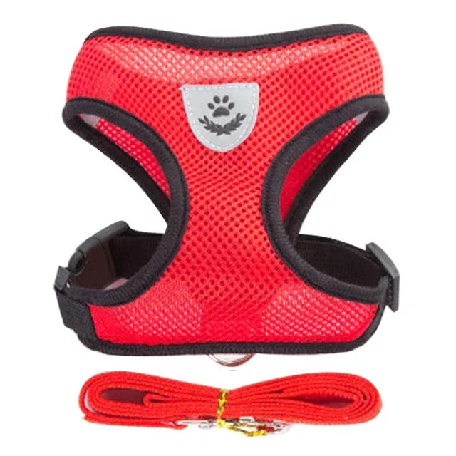 Comfortable Mesh Harness: Adjustable Vest for Cats, Dogs & Walks