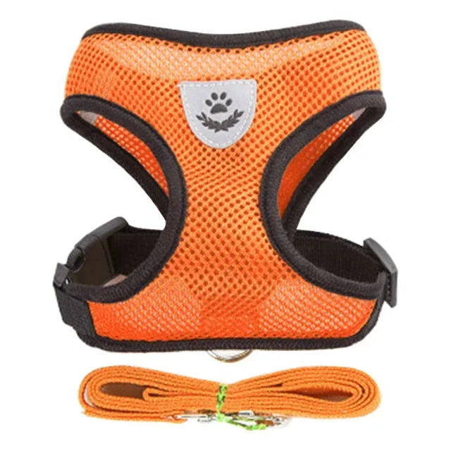 Comfortable Mesh Harness: Adjustable Vest for Cats, Dogs & Walks