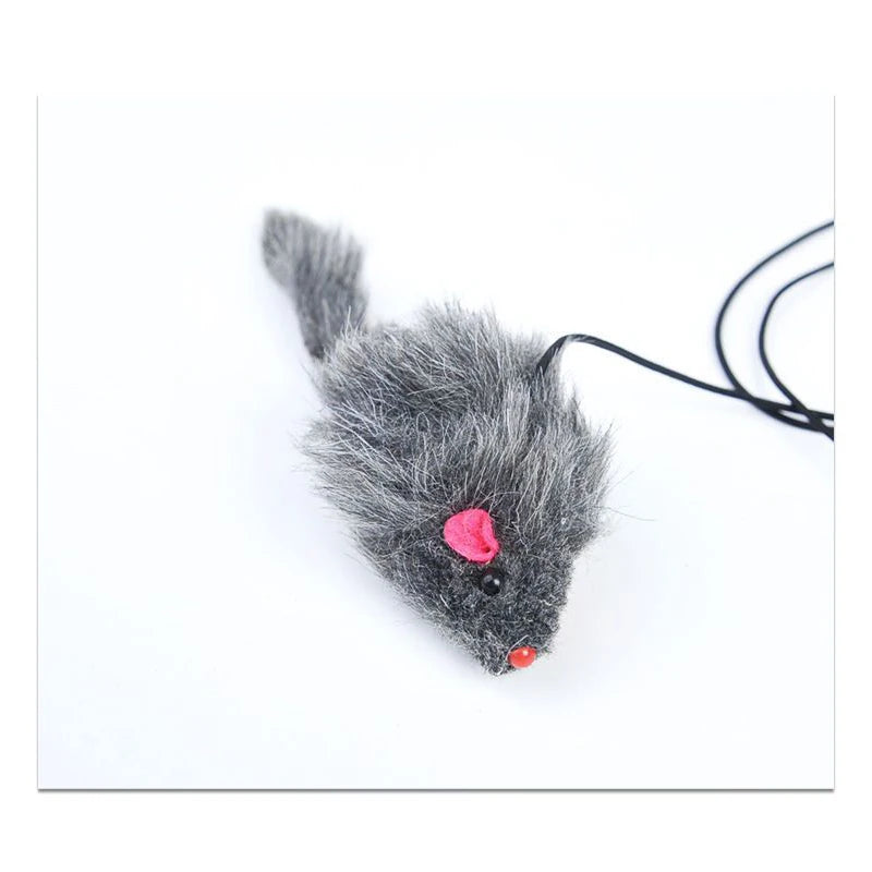 Cat Door Swing Toy: Elastic Mouse for Jumping & Relief